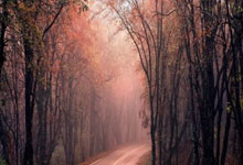 丁俊晖魔咒继续!金左手连丢三局惨败威尔逊无缘.