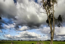 身边|周琦轩:羽球人生不设限.