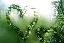 超凡国际官网:亚冠二级联赛主场对曼谷联 淡滨尼流浪非胜不可.