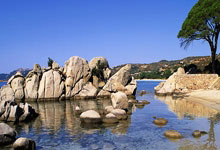 本赛季五大联赛球队单场进球4+次数:巴萨19次居首、巴黎14次.